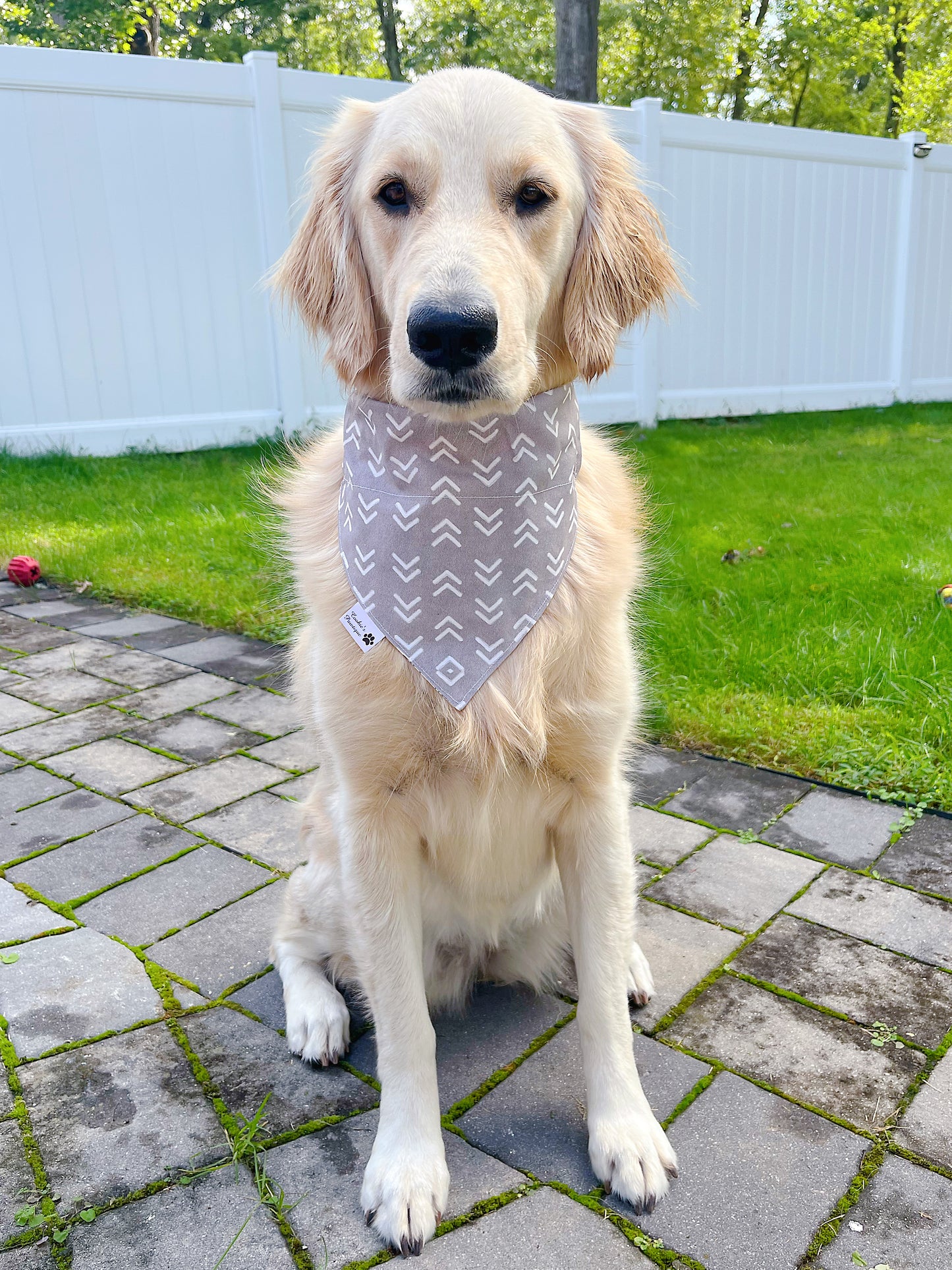 Little Brother Bandana