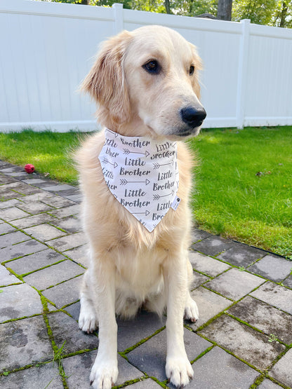 Little Brother Bandana