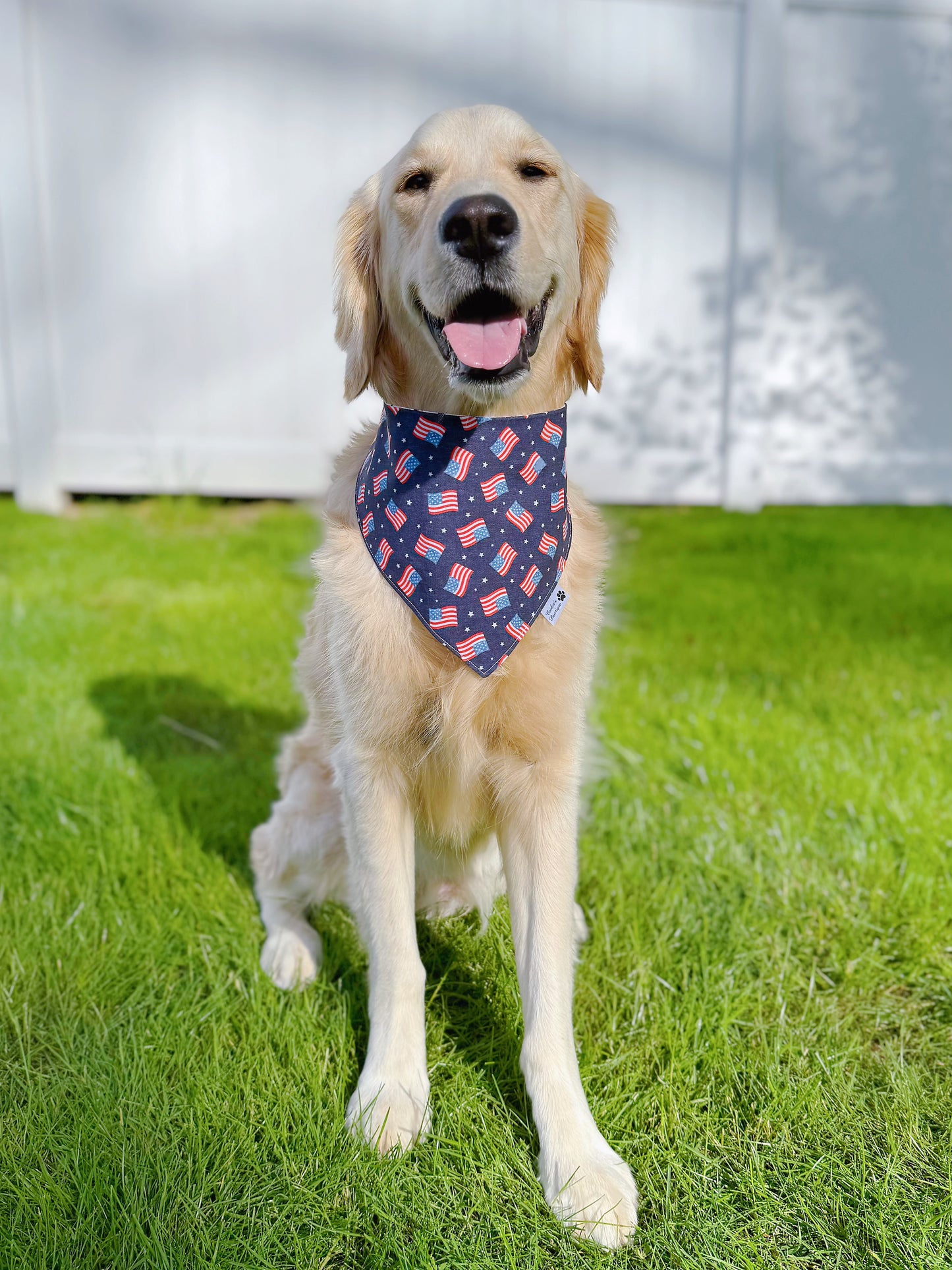 American Flags And Stars Bandana