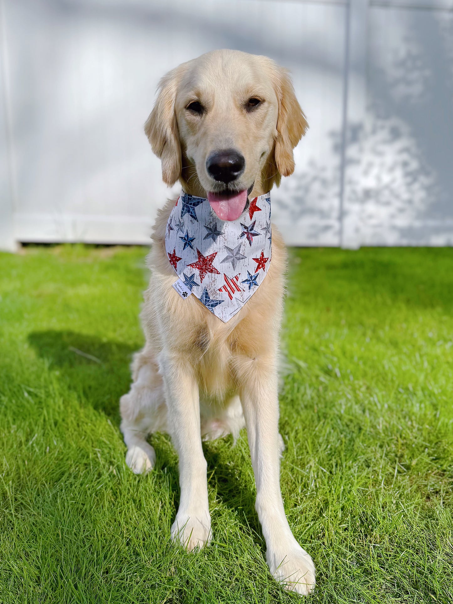 American Flags And Stars Bandana