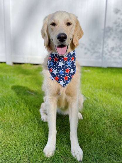 Rock and Roll Leopard Tongues And Stars Bandana