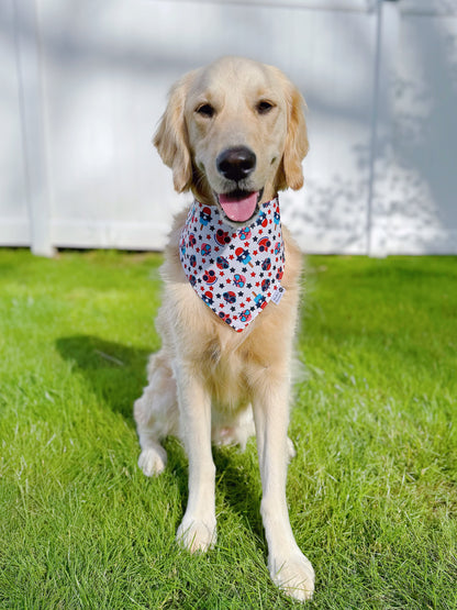 Patriotic Popsicles And Fruits Bandana