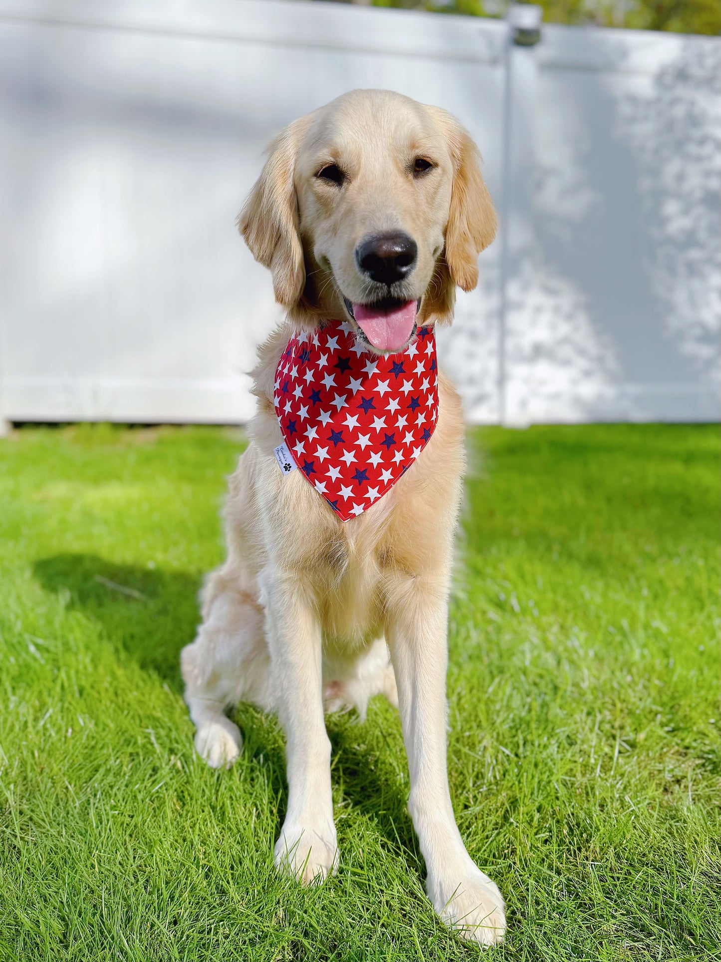 Patriotic Popsicles And Fruits Bandana