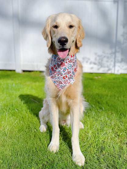 Patriotic Vintage Summer And Checkerboard Floral Bandana