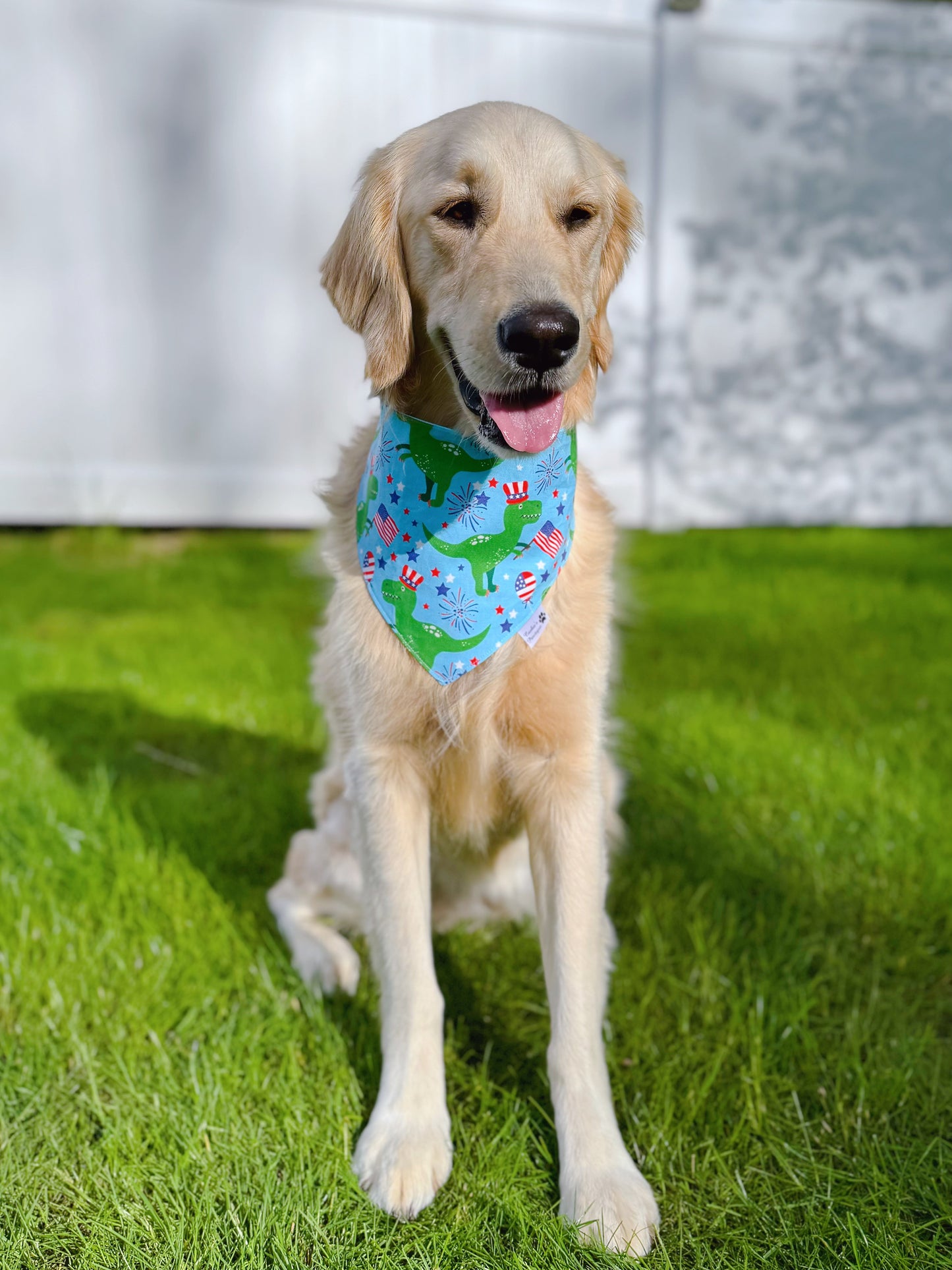 Patriotic Dinos And Star Lollipops Bandana