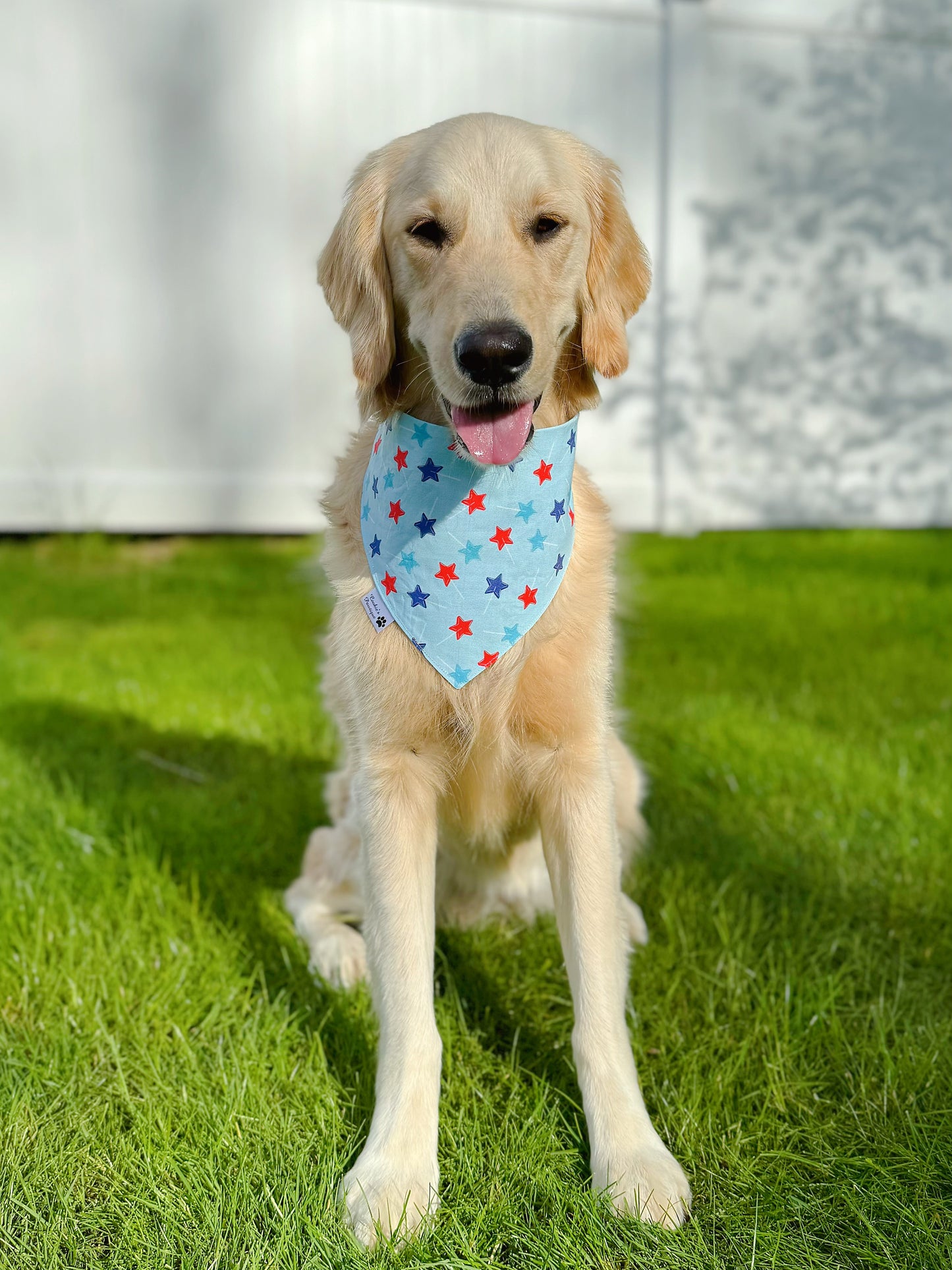 Patriotic Dinos And Star Lollipops Bandana