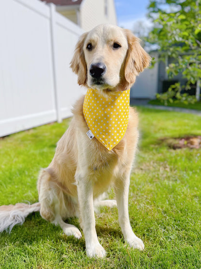 Daddy’s Sunshine Bandana - Yellow