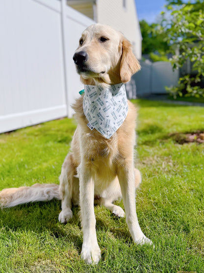 Daddy's Sunshine and Badass Like Dad Bandana - Teal