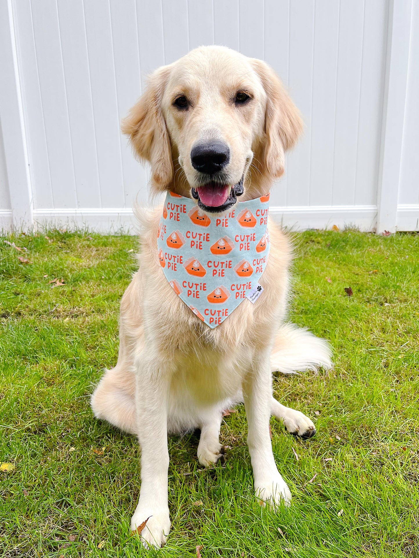 Cutie Pie Bandana