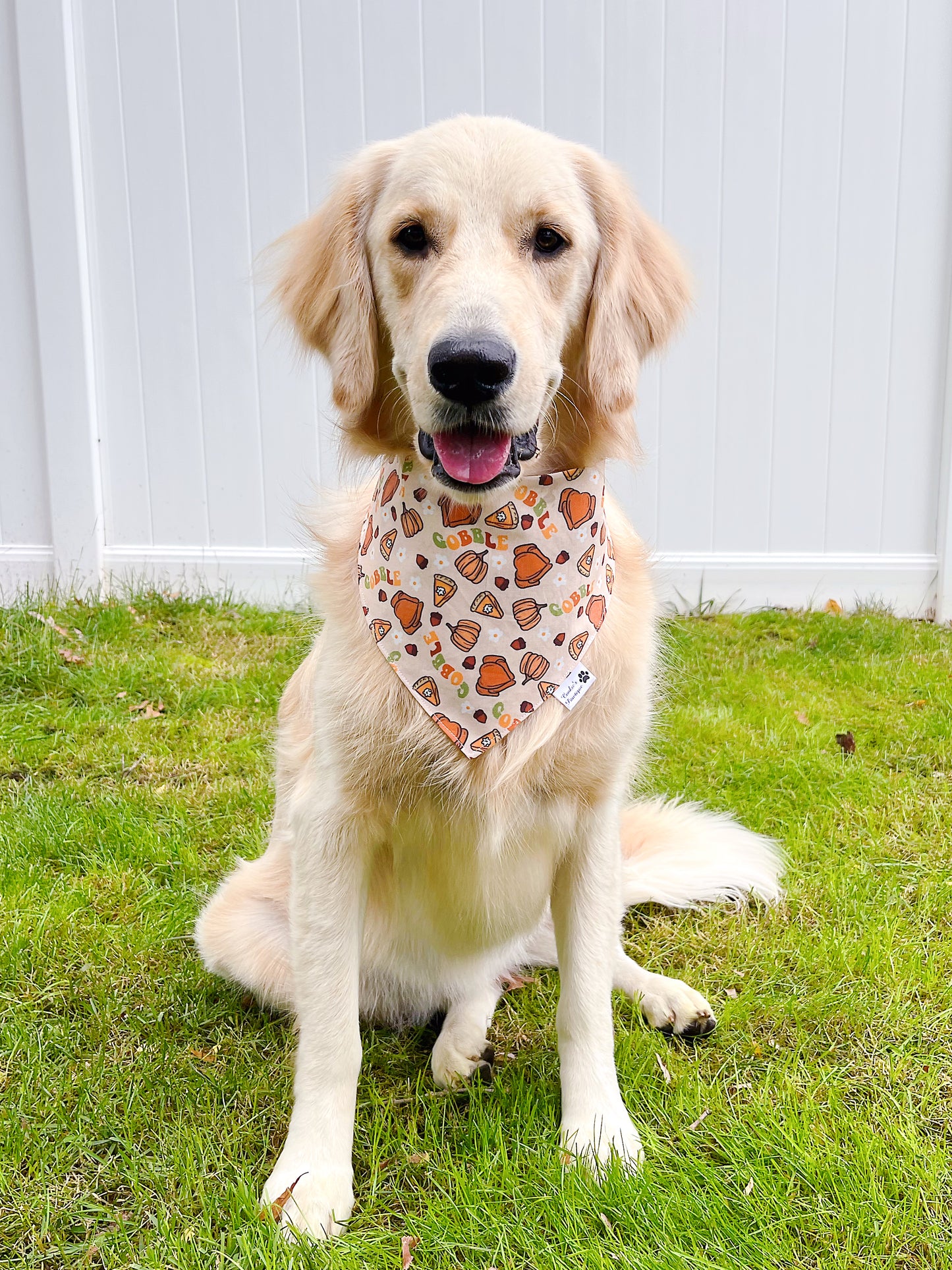 Groovy Gobble Bandana