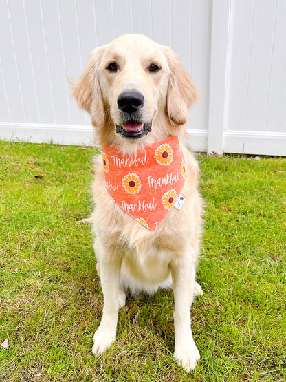 Thankful Day Bandana