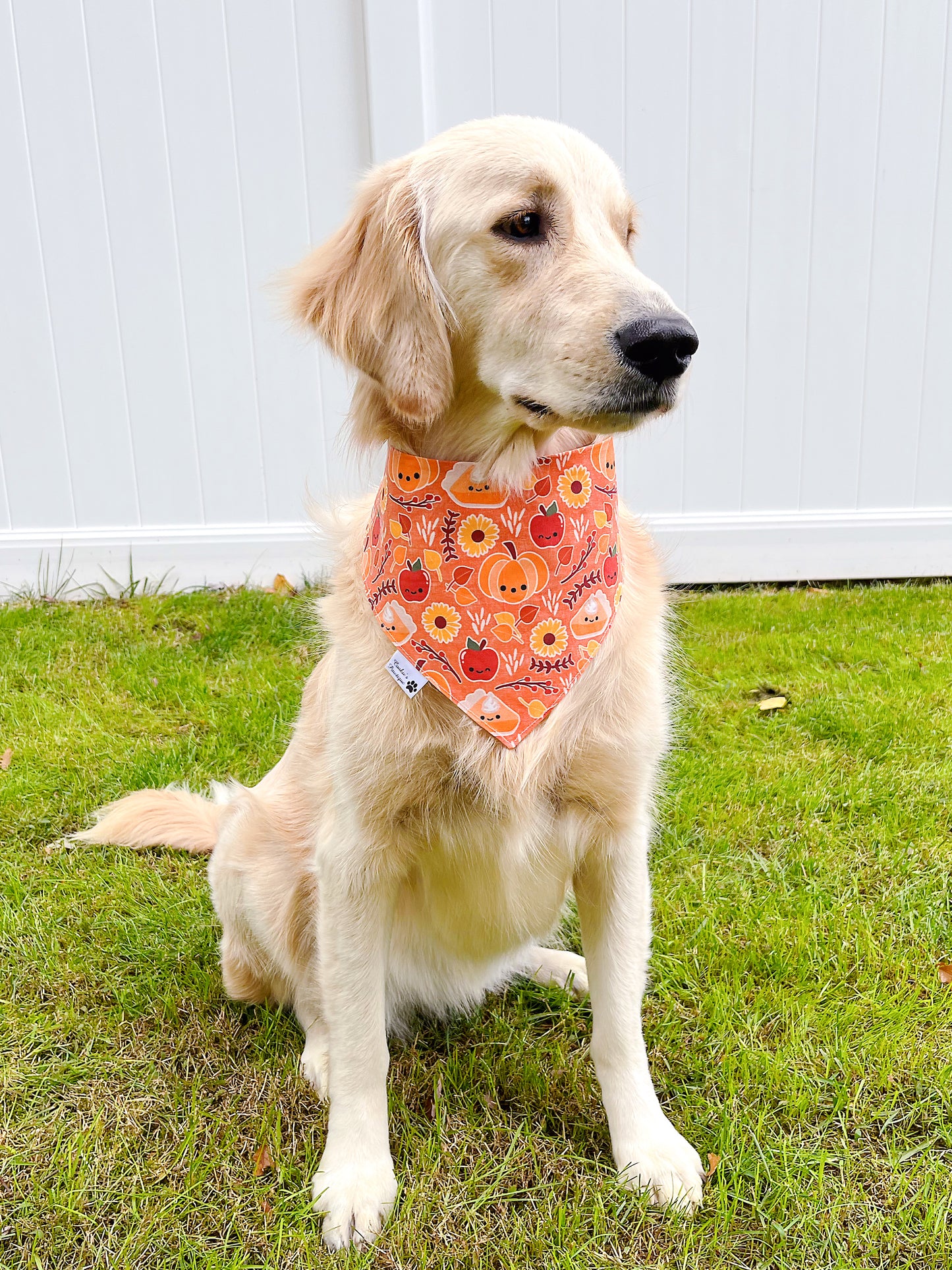 Thankful Day Bandana