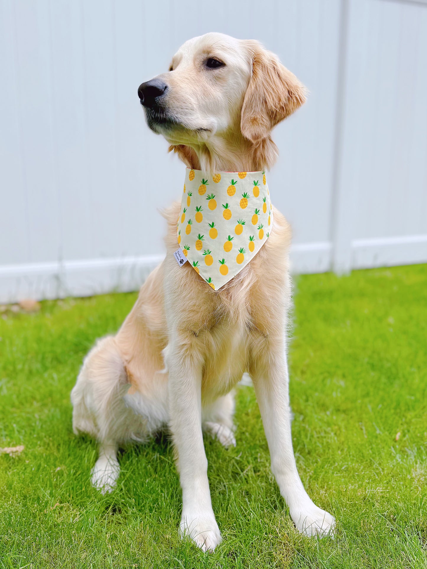 Pineapple Bandana