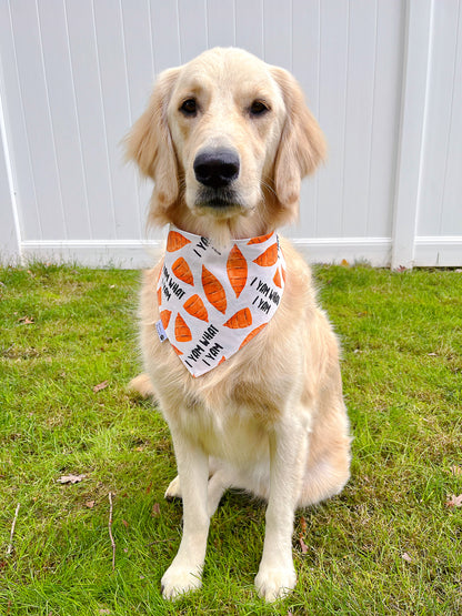 Official Turkey Taster And I Yam What I Yam Bandana