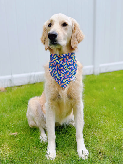 Flip Flops And Starfish Bandana