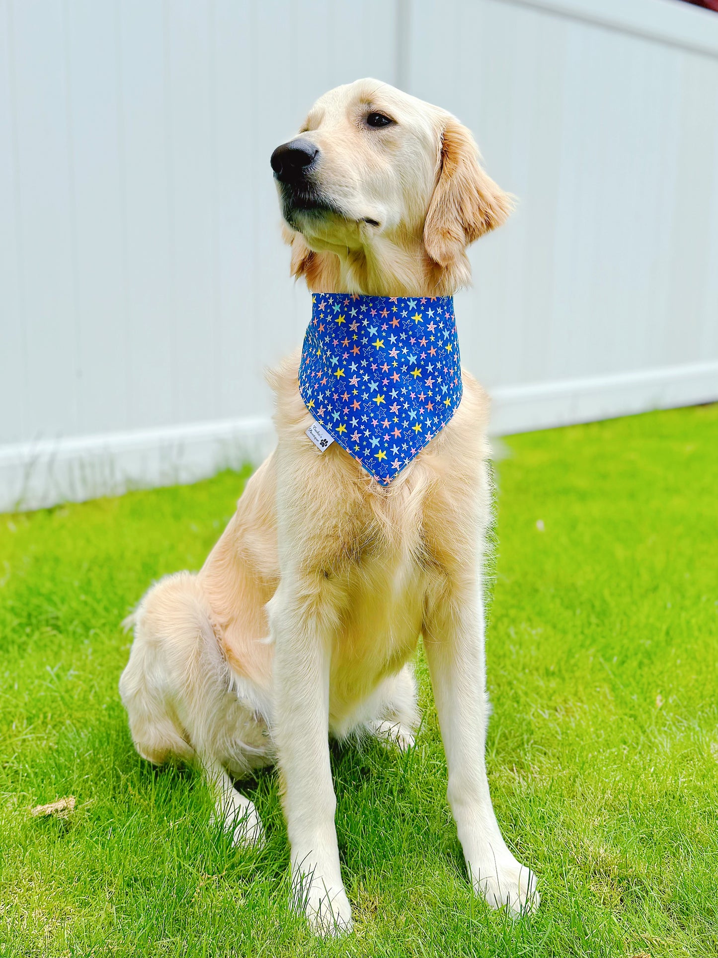 Flip Flops And Starfish Bandana