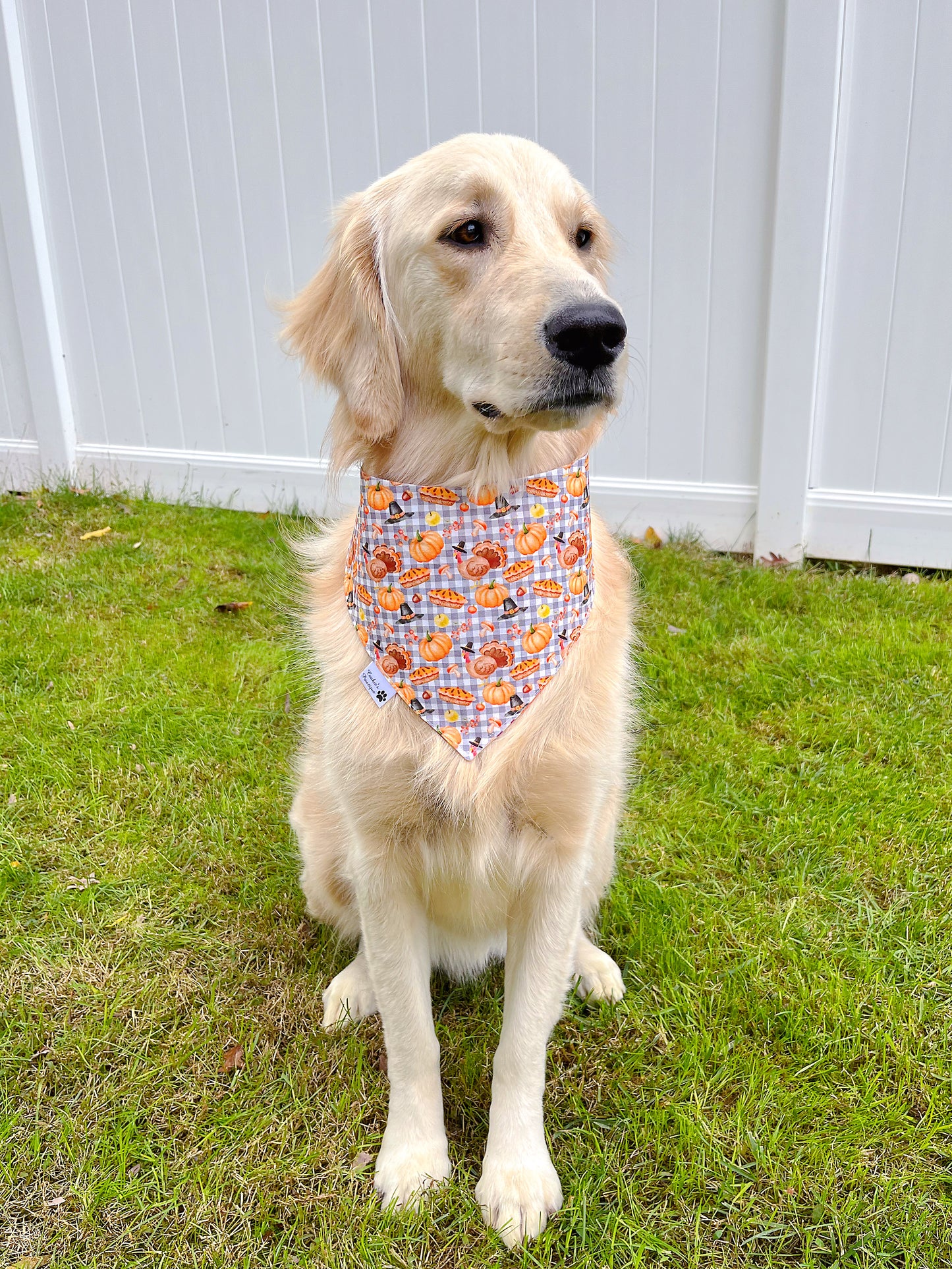 Thanksgiving Dinner Bandana