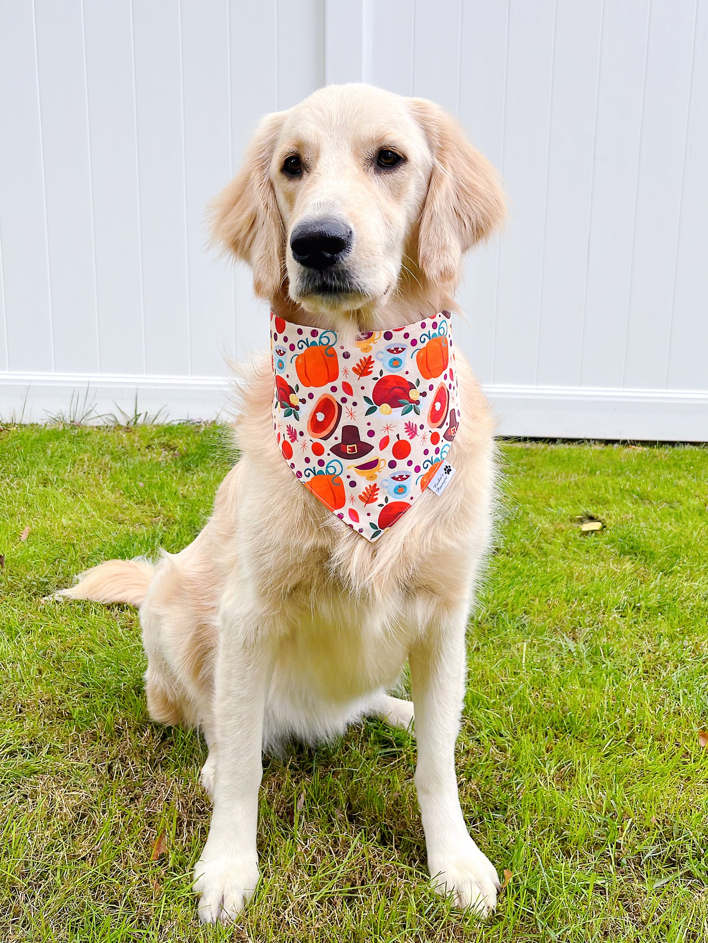 Thanksgiving Dinner Bandana