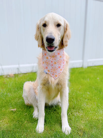 Fun In The Sun Bandana