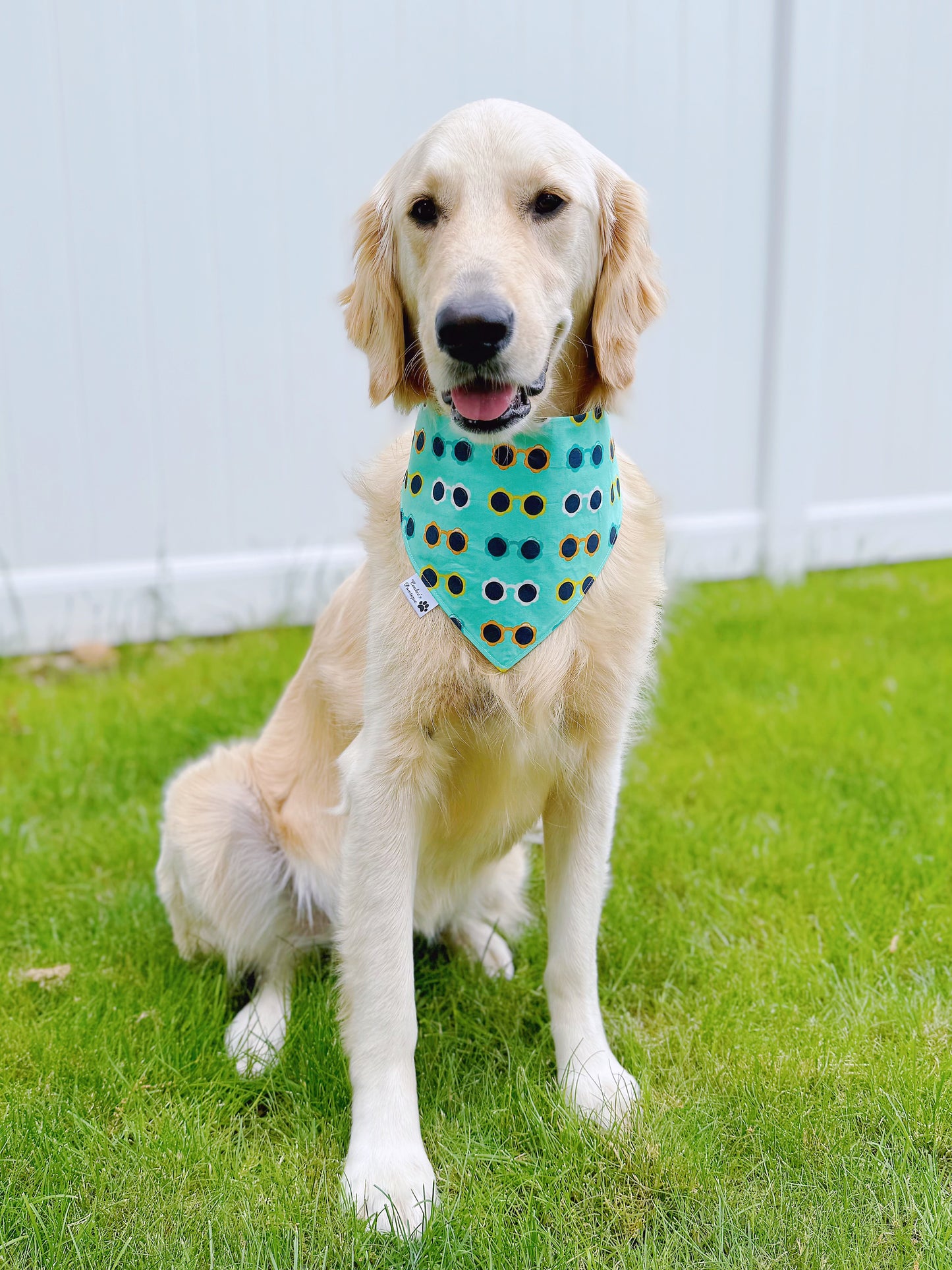 Sunglasses and Flamingos Bandana