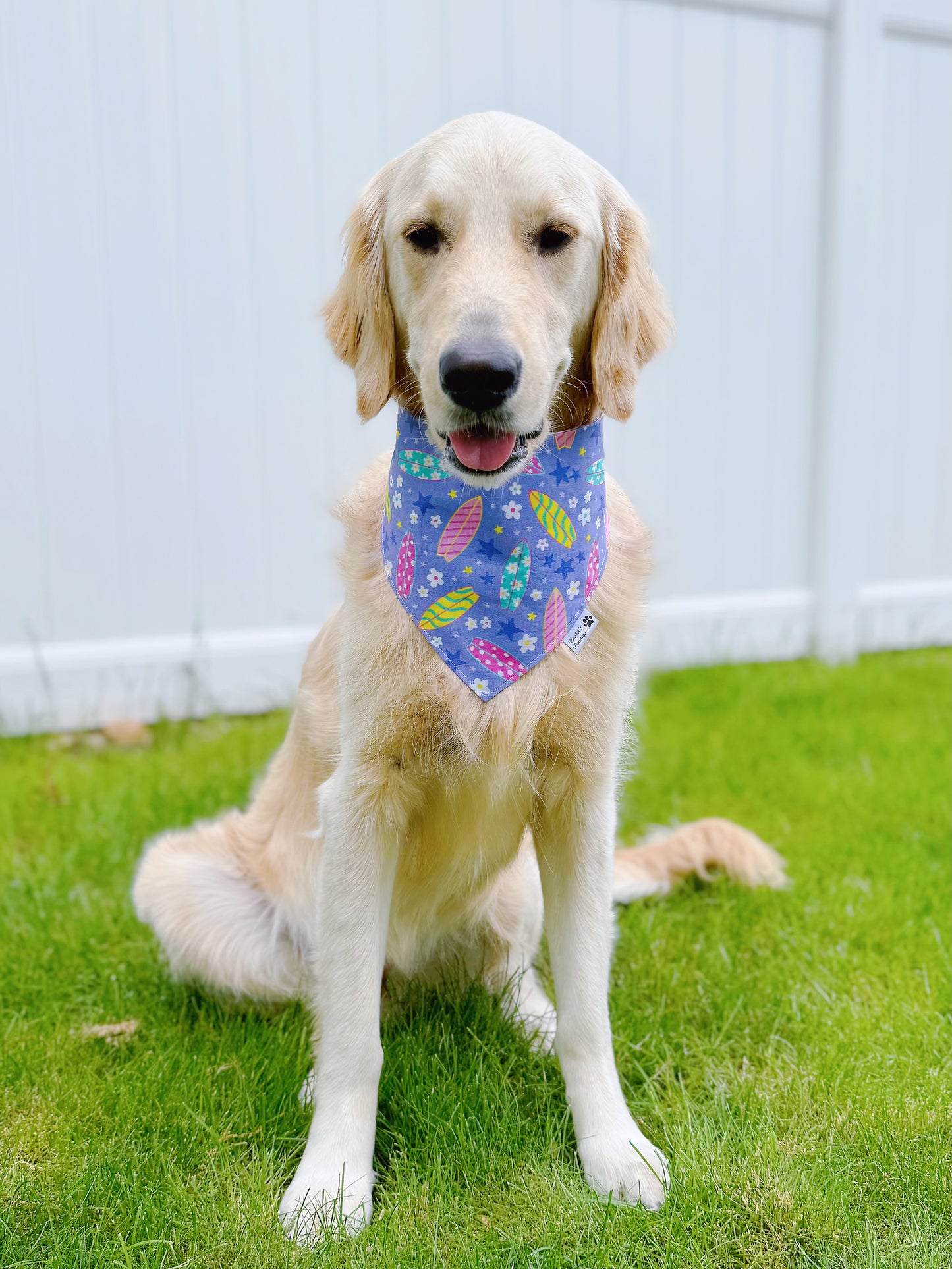 Surf's Up Bandana