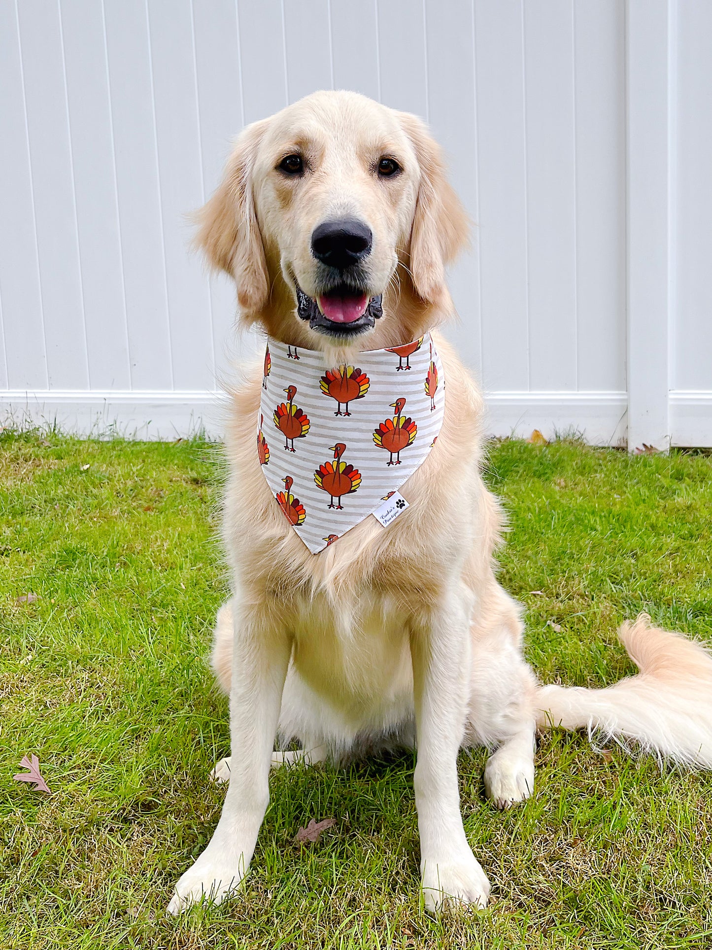 Turkey And Pumpkin Pie Slice On Stripes Bandana