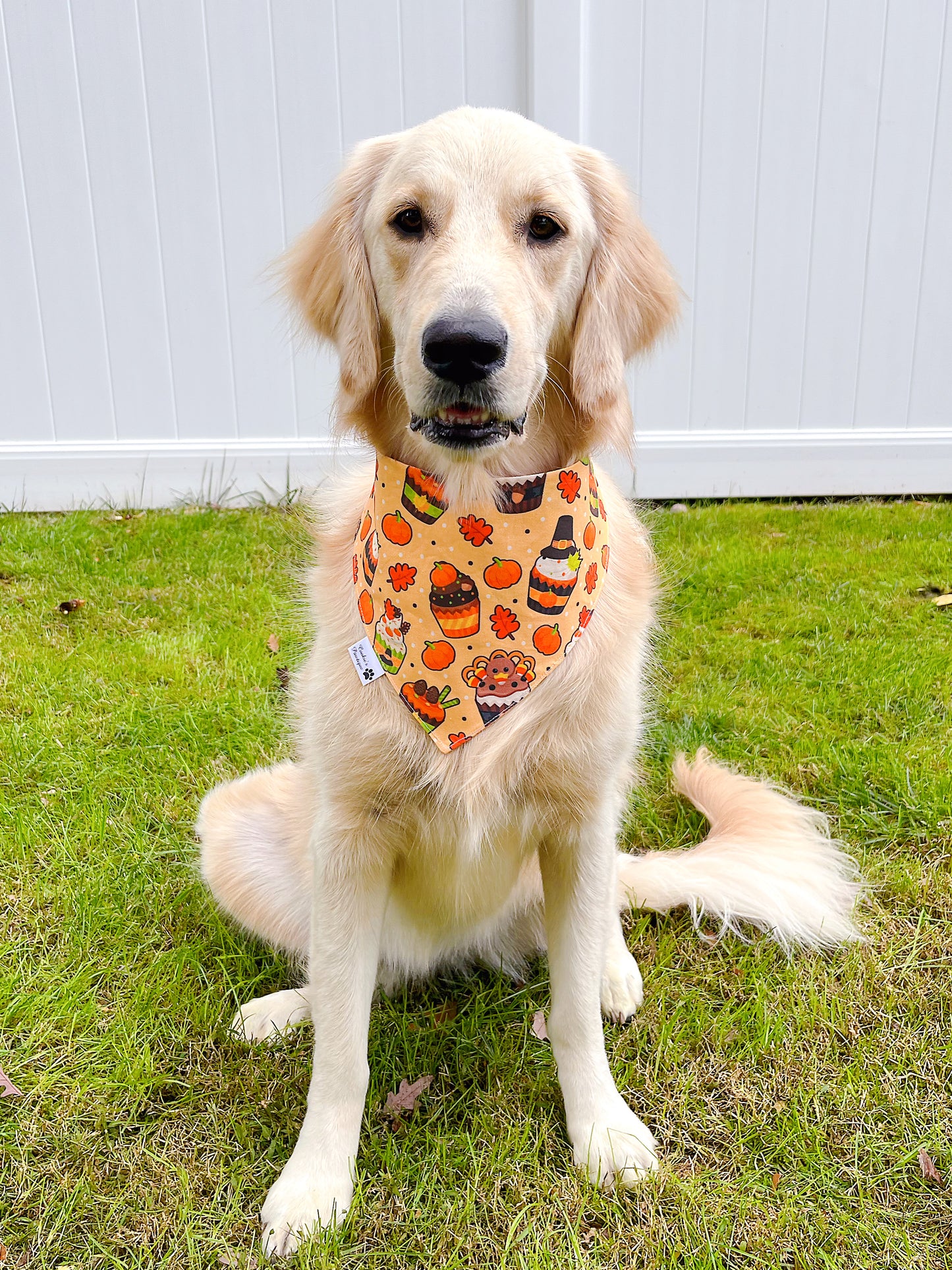 Thanksgiving Cupcakes And Donuts Bandana