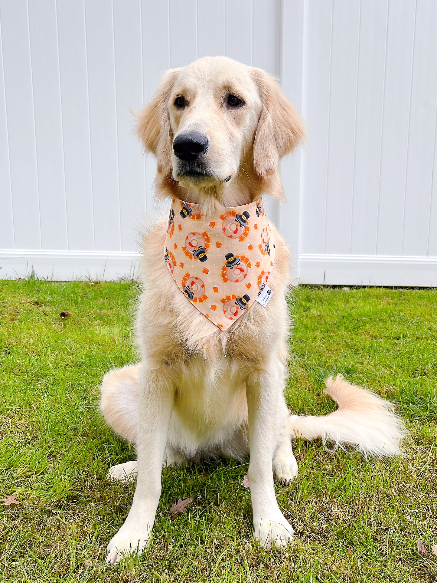 Thanksgiving Cupcakes And Donuts Bandana