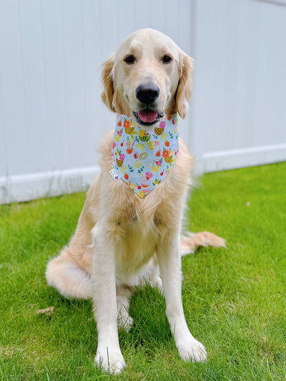 Sweet And Juicy Summer Bandana