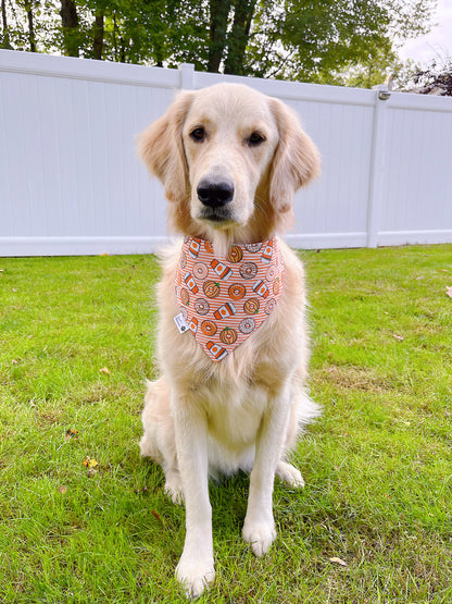 Floral Pumpkin Pies and Coffee Donuts Bandana