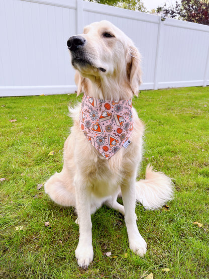 Floral Pumpkin Pies and Coffee Donuts Bandana