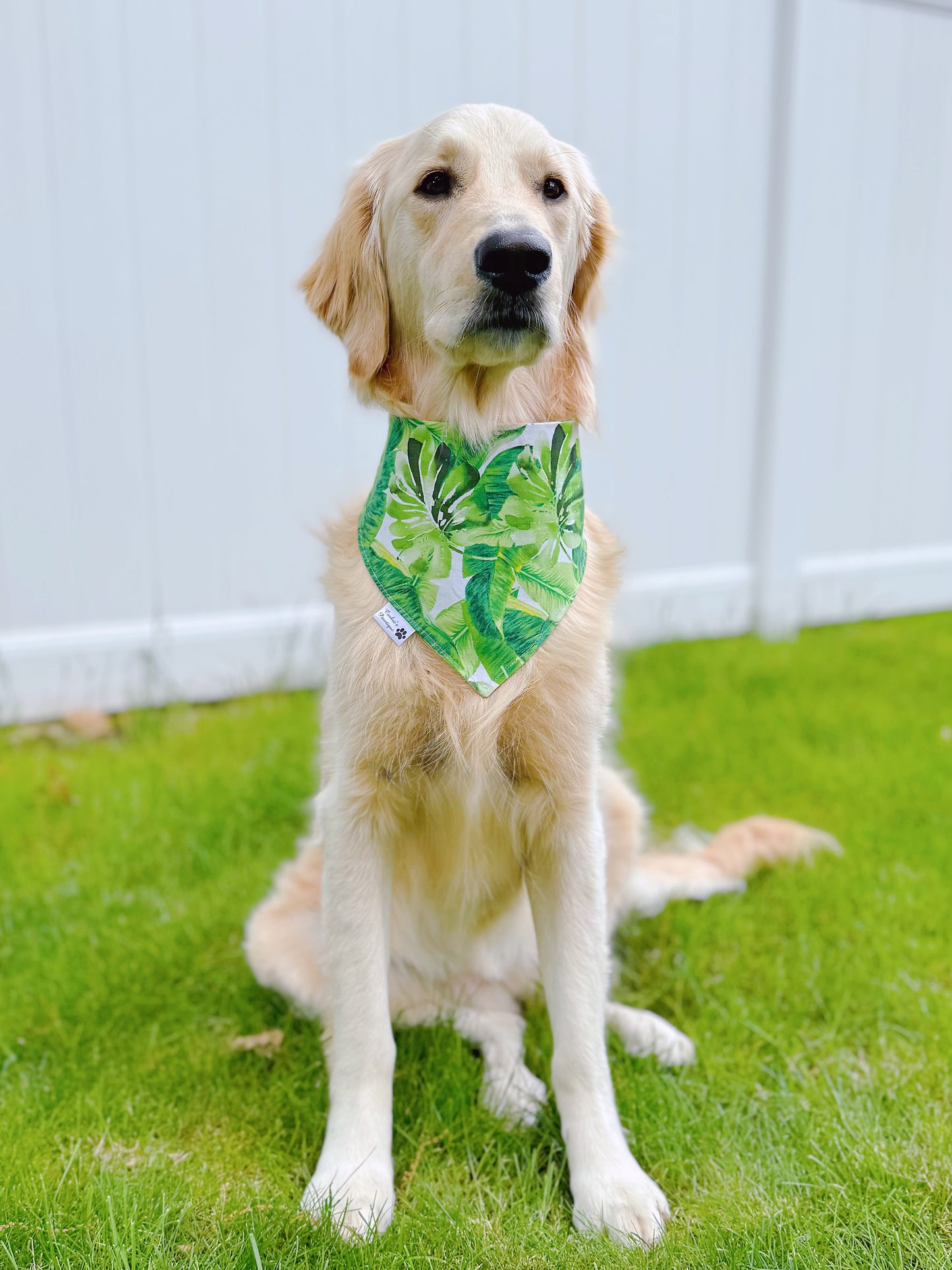 Tropical Floral And Palm Leaves Bandana