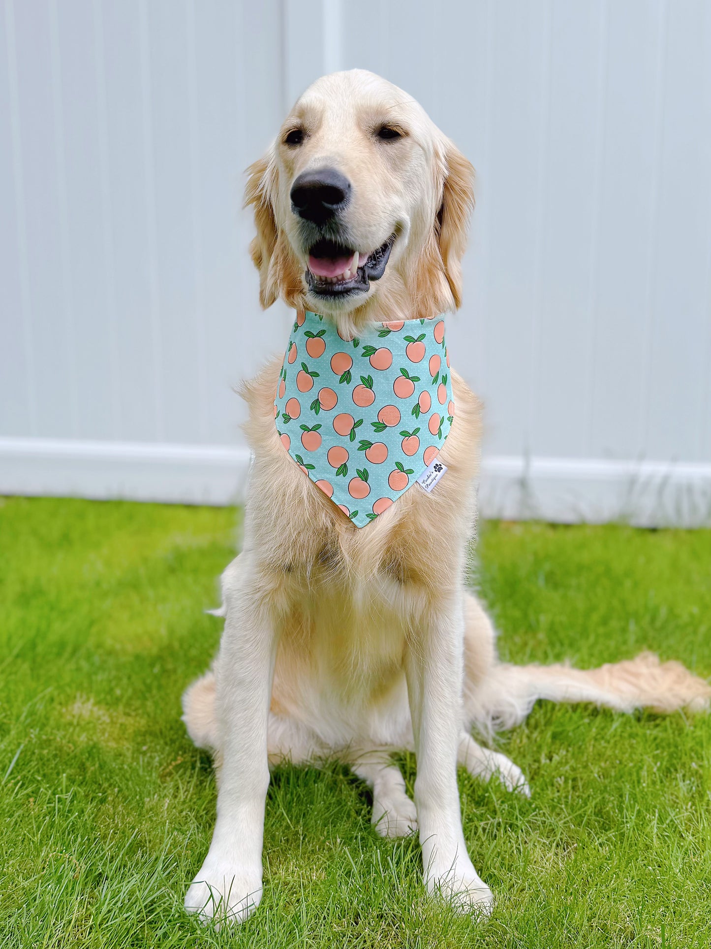 Peach And Soda Bandana