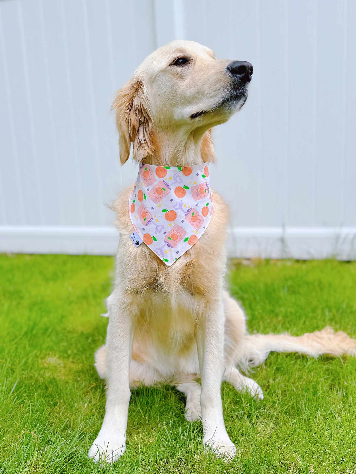 Peach And Soda Bandana