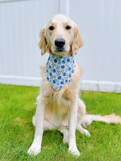 Blueberry And Jam Bandana