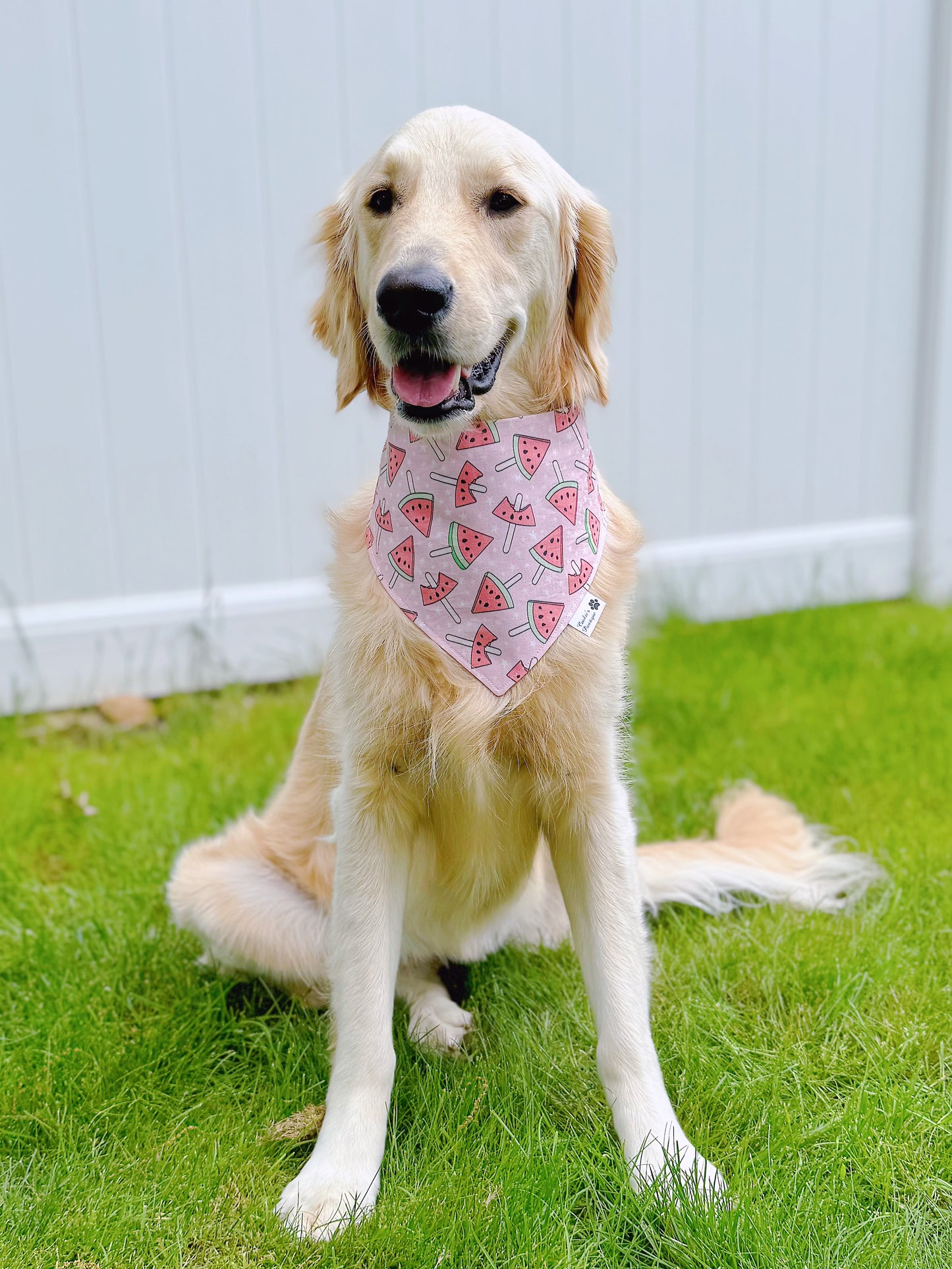 Watermelon And Popsicles Bandana