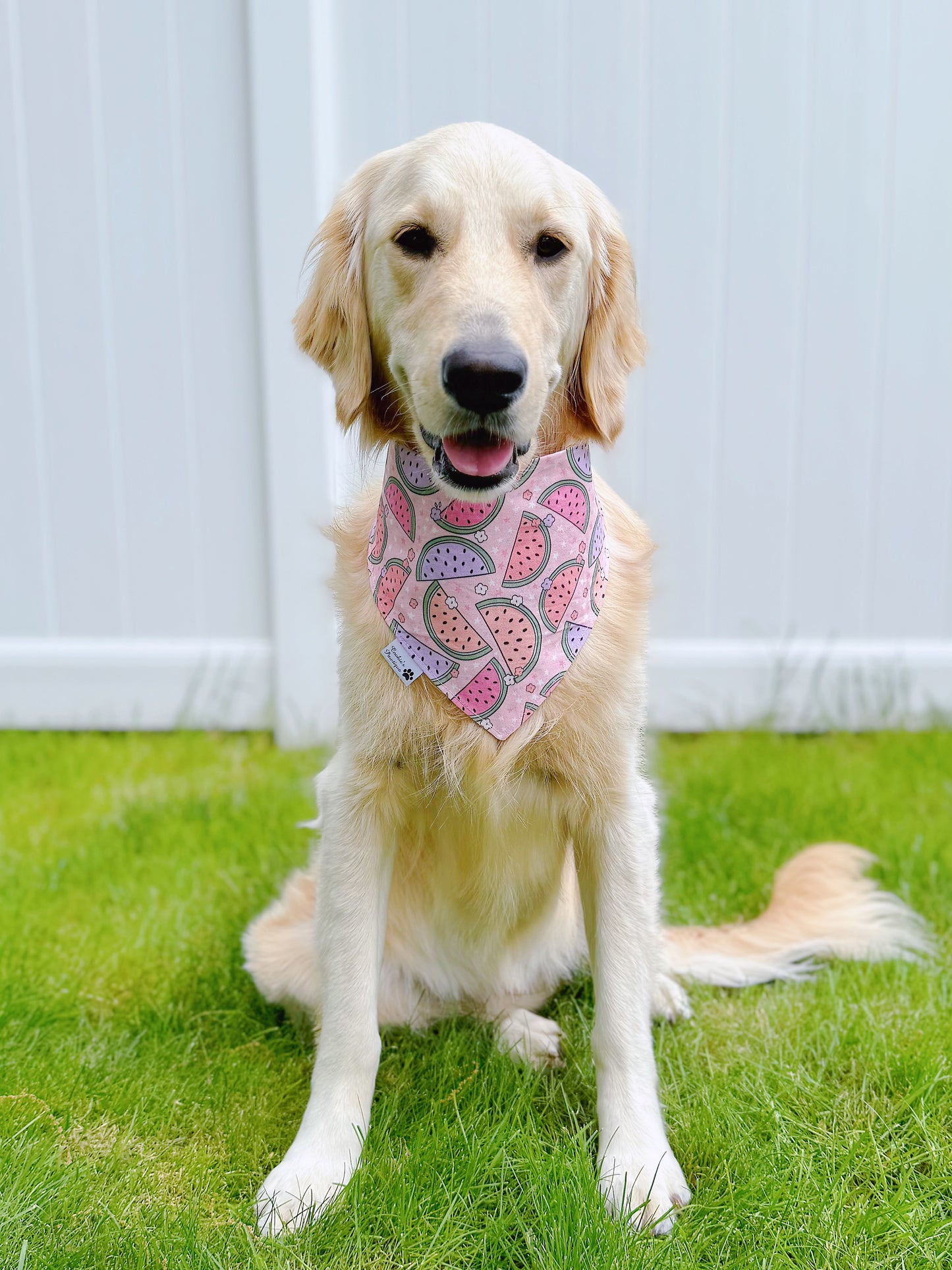 Watermelon And Popsicles Bandana