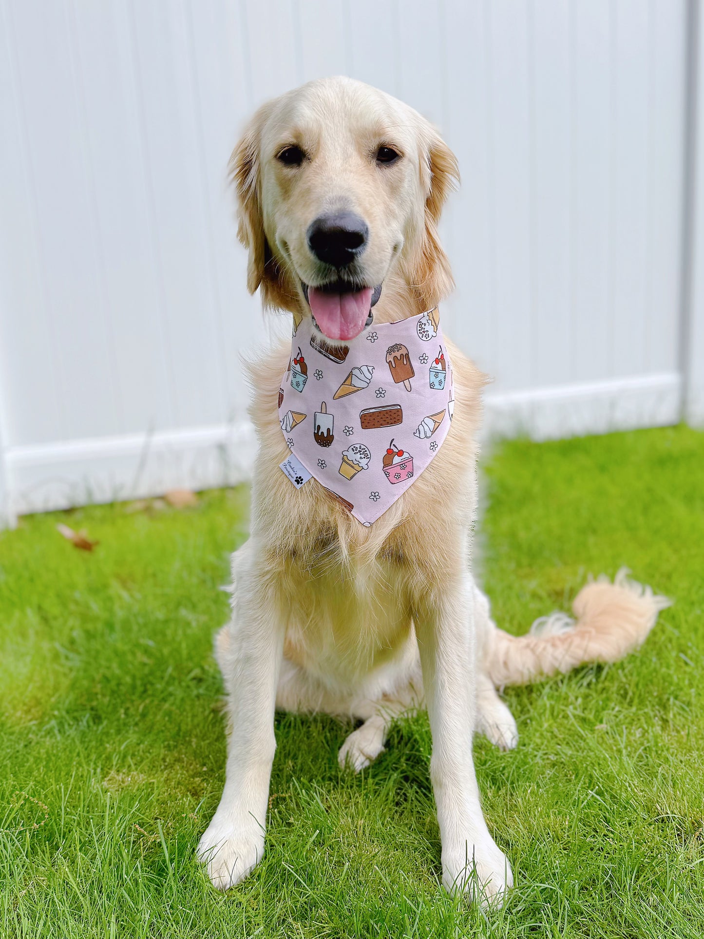 Coquette Iced Coffee And Ice Cream Bandana