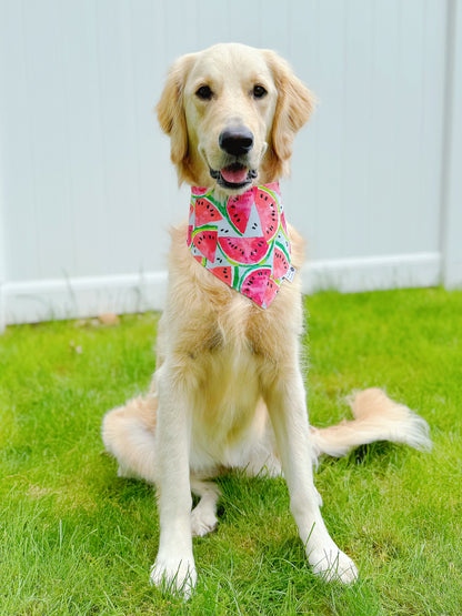 Watermelon All Over Bandana