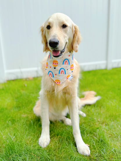 Hot Air Balloon Bandana