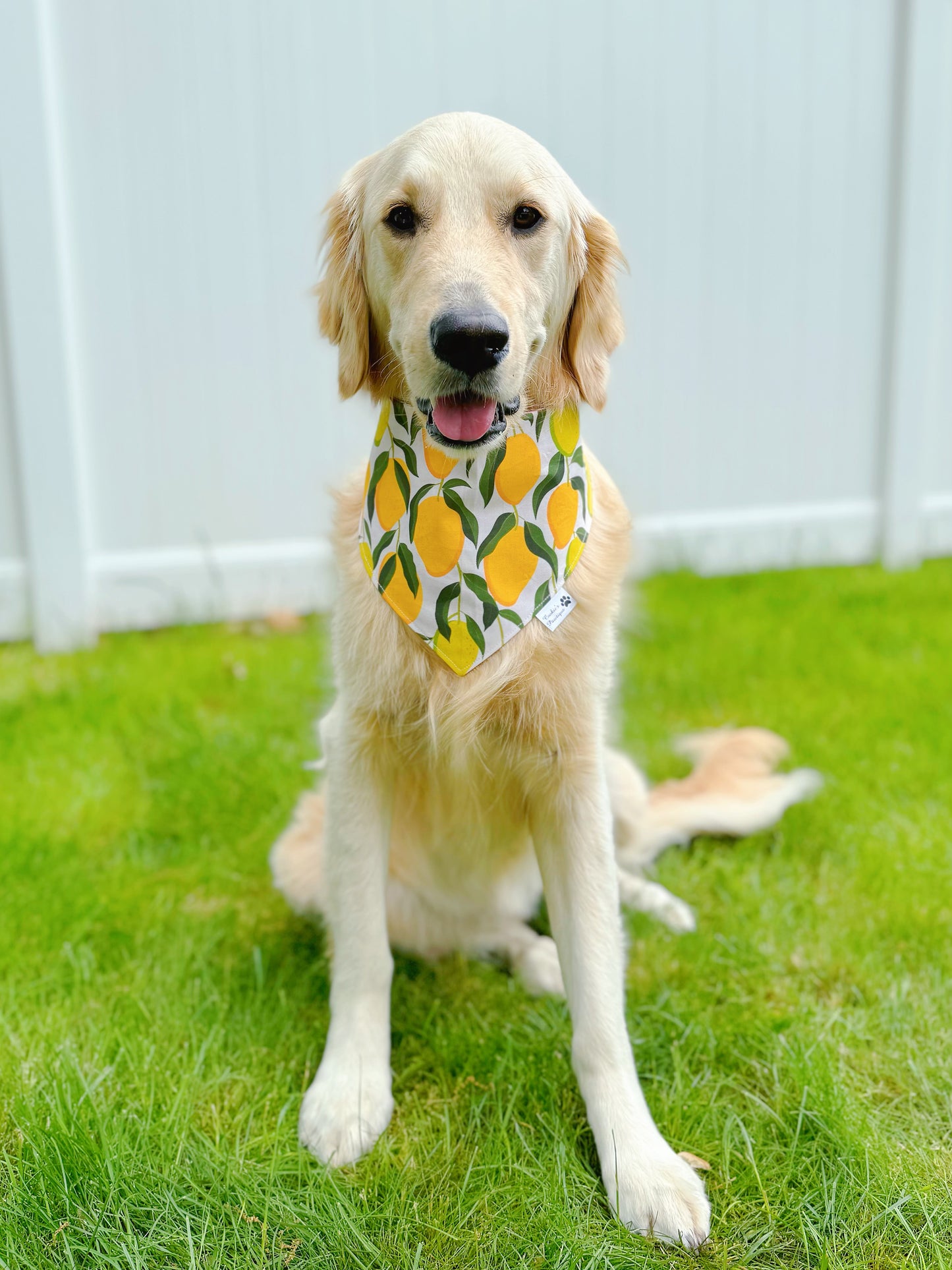 Tropical Mango Bandana