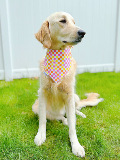 Tropical Mango Bandana