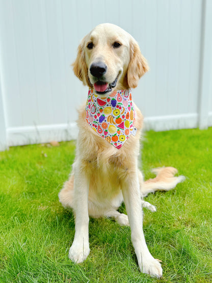 Colorful Fresh Fruits Bandana