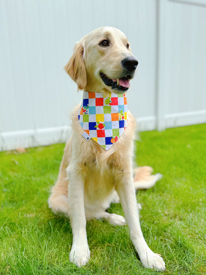 Colorful Fresh Fruits Bandana