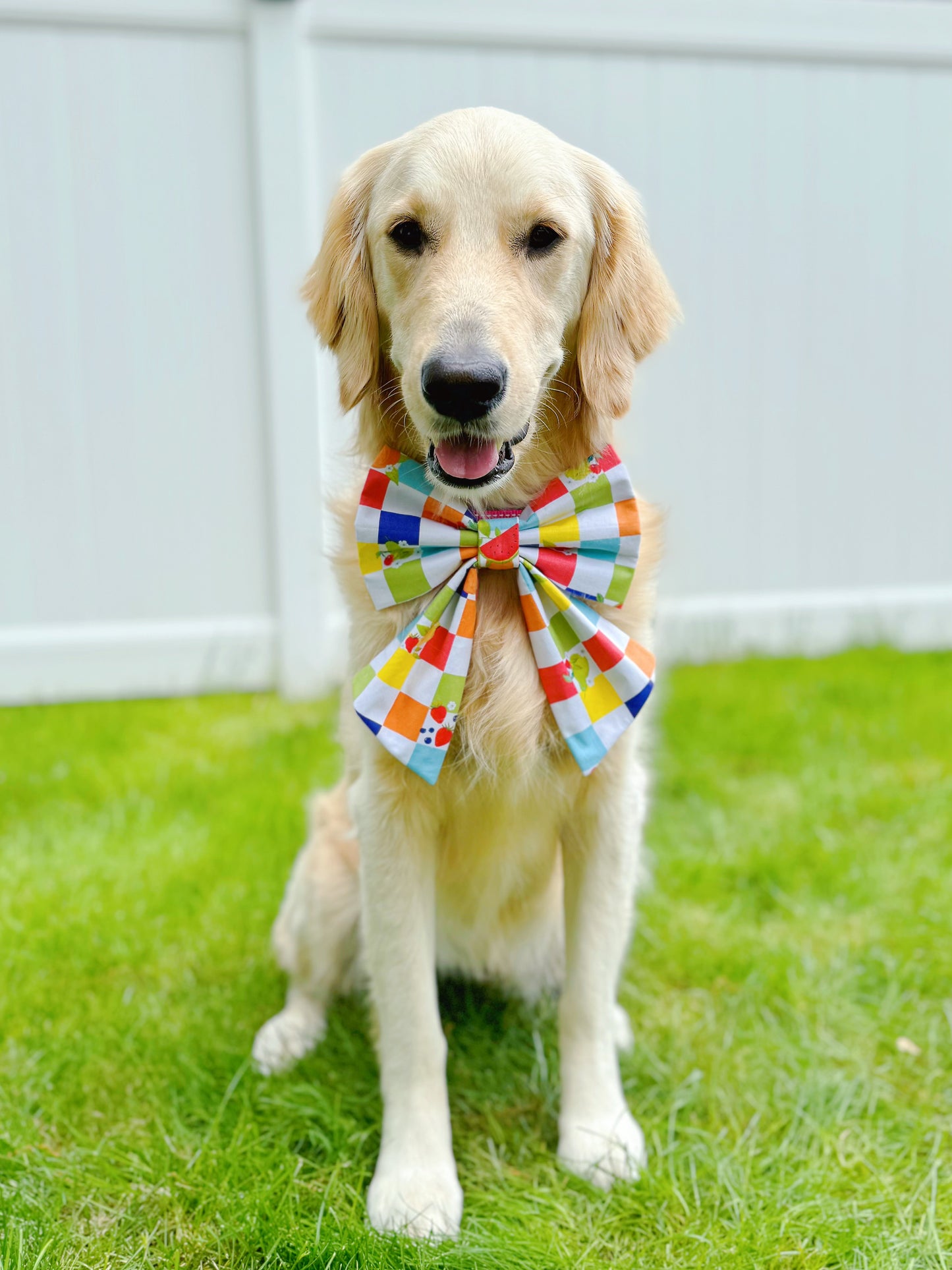 Colorful Fruits Checkerboard Bow