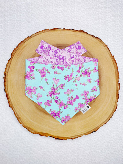 Cherry Blossoms Bandana