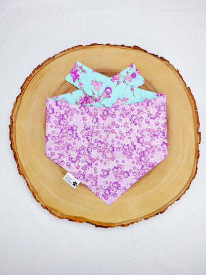 Cherry Blossoms Bandana