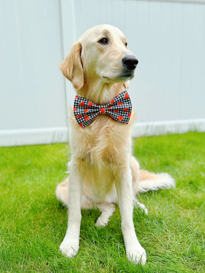 Watermelon On Plaid Bow