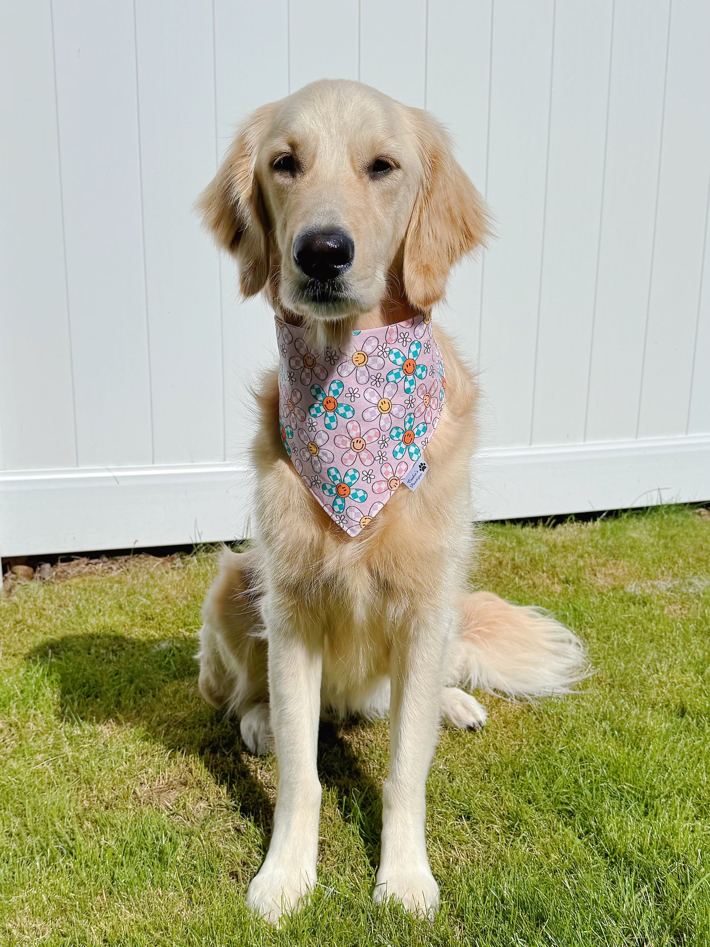 Groovy Checkered Daisies Bandana