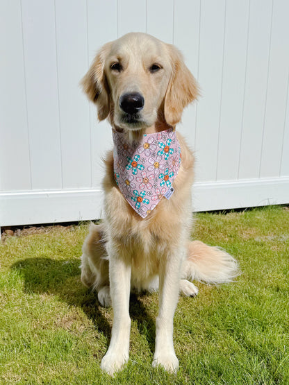 Groovy Checkered Daisies Bandana